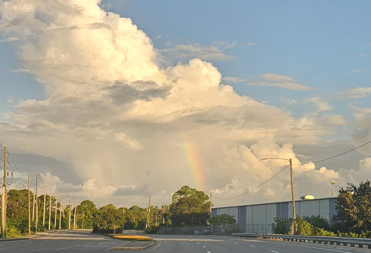 #Goodmorning from Tampa Bay