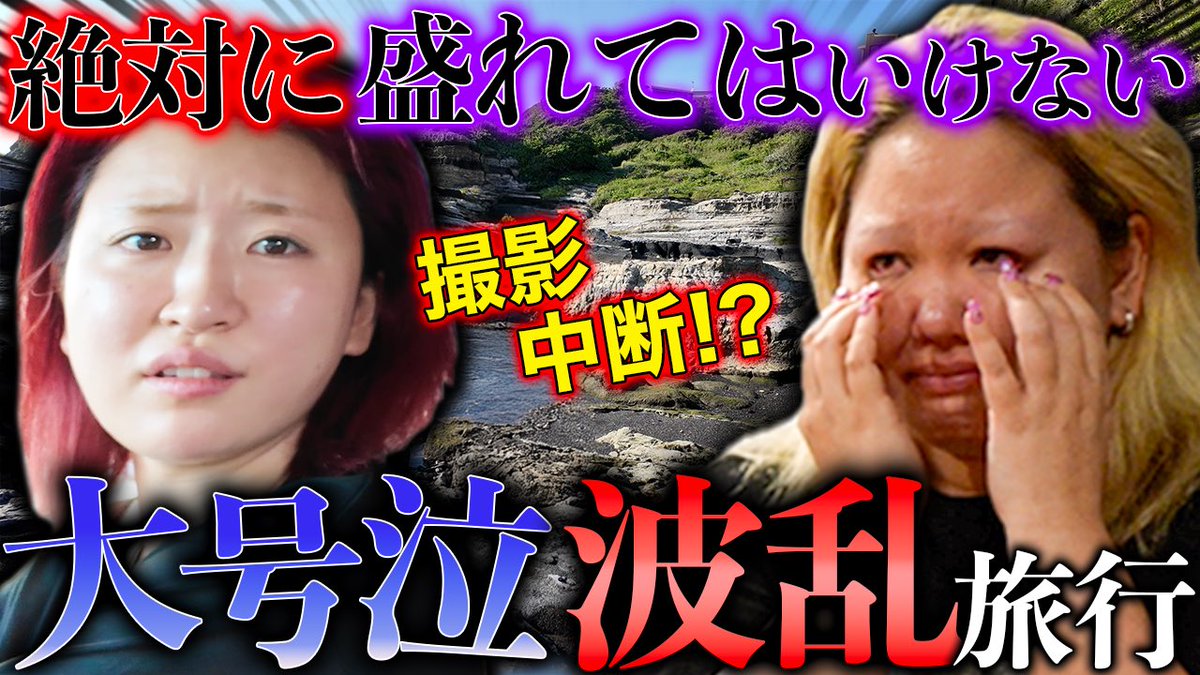 平成フラミンゴ　タンバリン LIBERTYTOWN (@libertytown_inc) / X