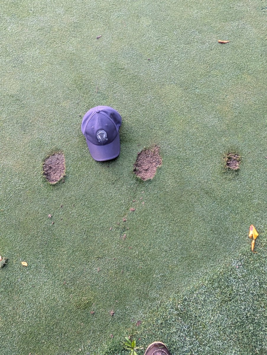 Doug Palm CGCS tweet media