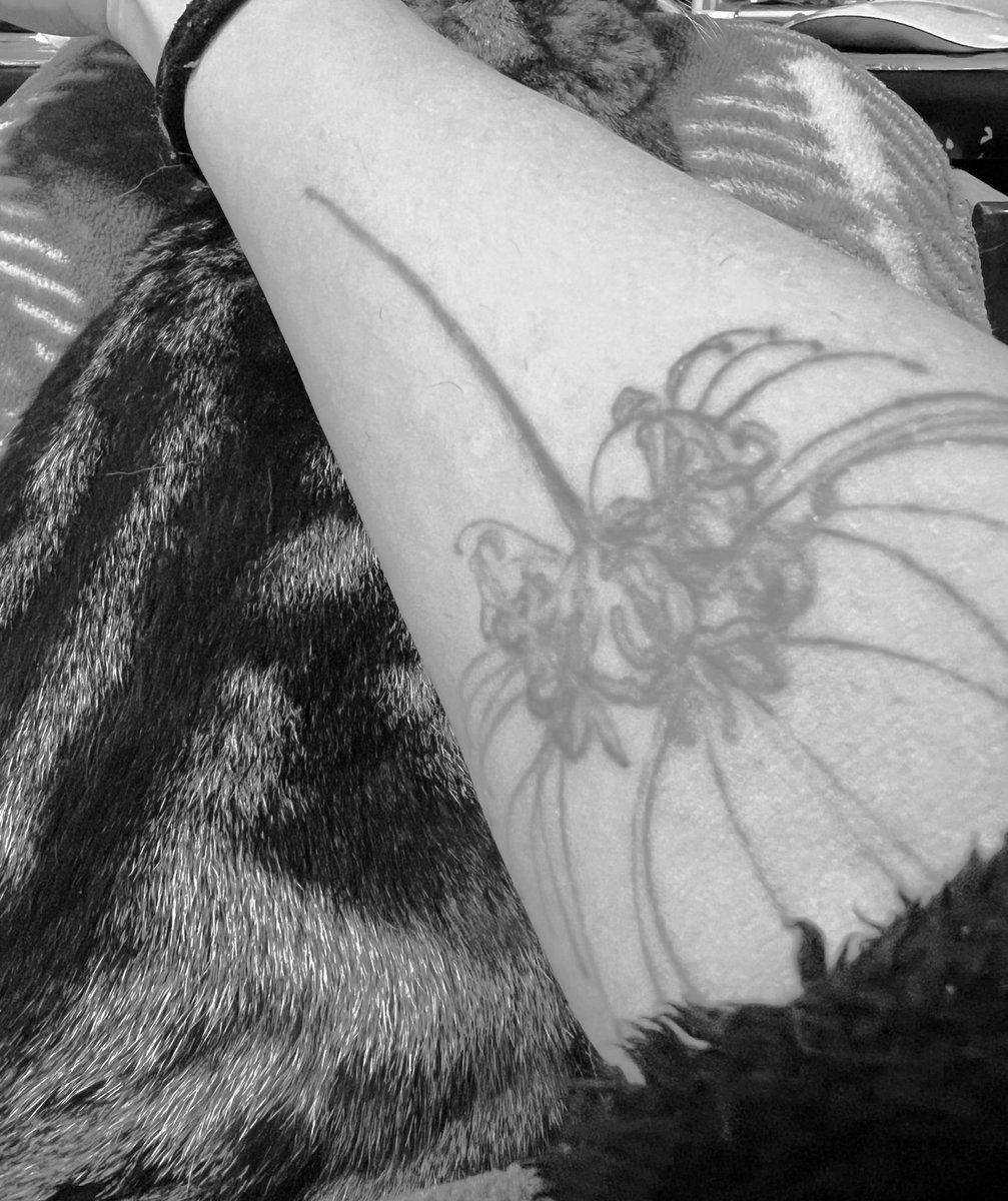 もう少ししたら彼岸花探しにいこ〜
去年は家の近くに咲いてたけどまたあったらいいな〜