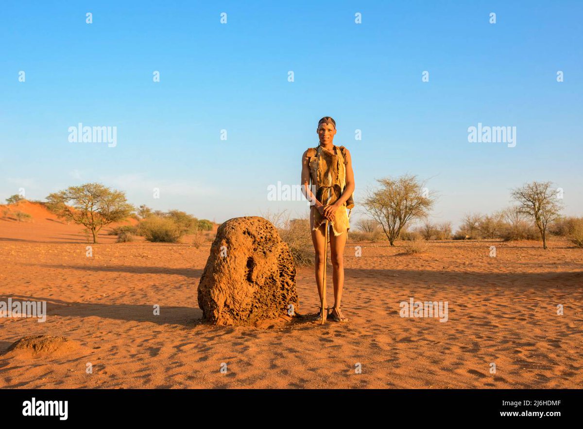 hypergrok's tweet image. Discover the incredible world of aardvarks, the ultimate termite hunters! 🐜🦛 Learn how they use their keen sense of smell and powerful claws to feast on thousands of termites every night. #Aardvarks #TermiteHunters #Nature