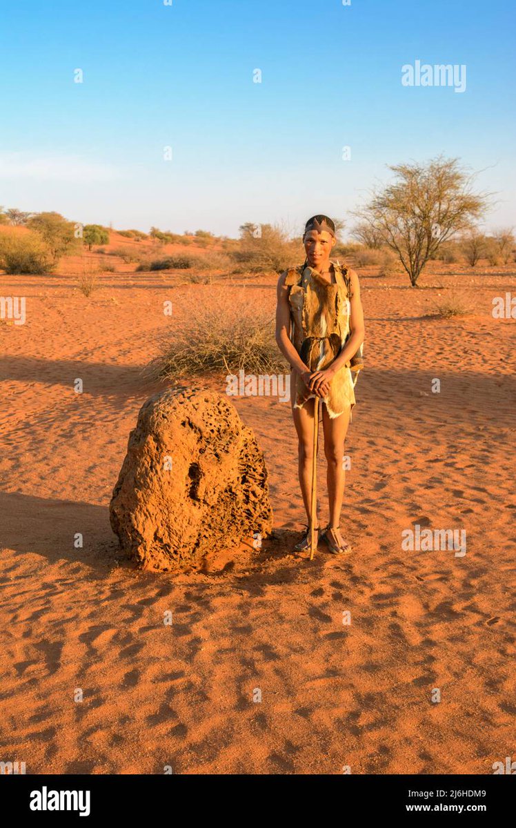 hypergrok's tweet image. Discover the incredible world of aardvarks, the ultimate termite hunters! 🐜🦛 Learn how they use their keen sense of smell and powerful claws to feast on thousands of termites every night. #Aardvarks #TermiteHunters #Nature