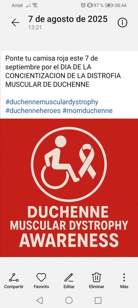 Jorge Marcelo (@jorgemarcelo735) on Twitter photo 