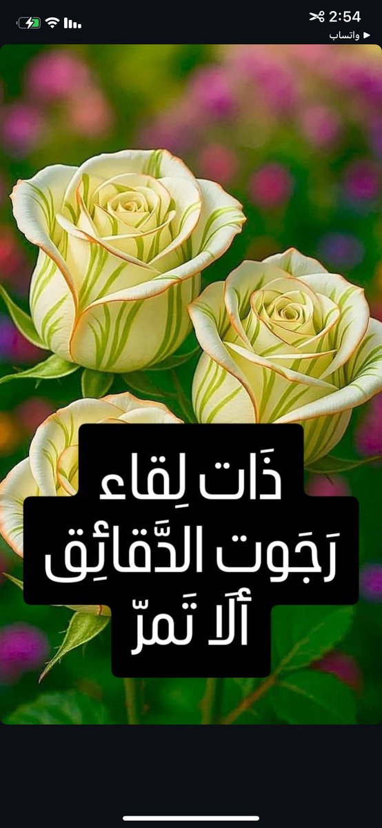 أولاً وثانياً وأخيراً
لا تنتظر مني ما لا أجده فيك.🖤