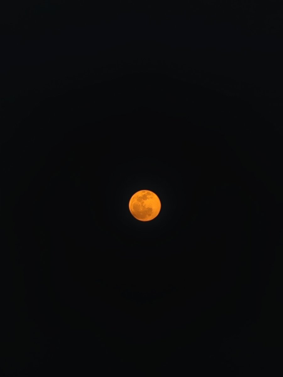 Widino's tweet photo. Blood moon. Sempetin liat bulan deh, bagus bgt warnanya 🌕 https://t.co/mKNwQyTSWo