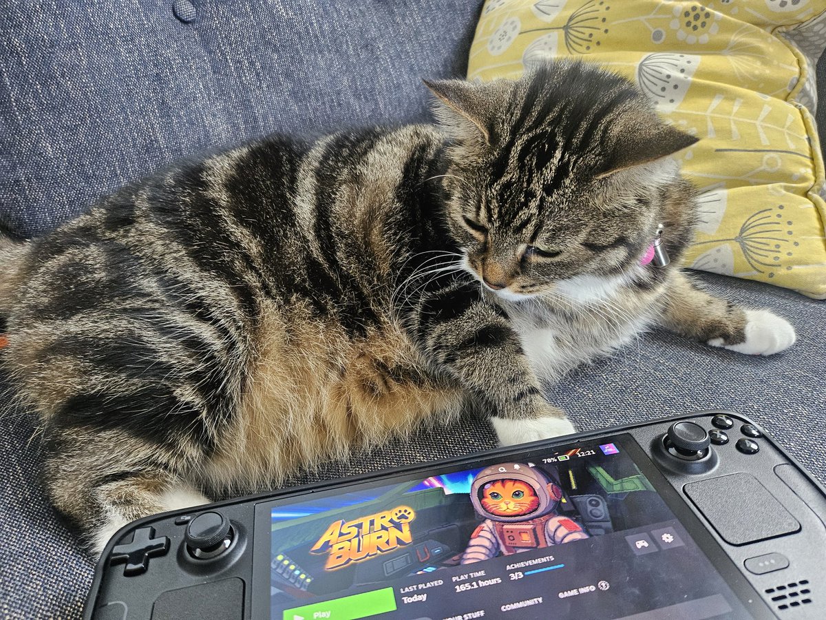 Game recognise game...    Mia would love for you all to please go to Steam,  search for Astro Burn,  and then press that Wishlist button 🙏😻

#indiegame #gamedev