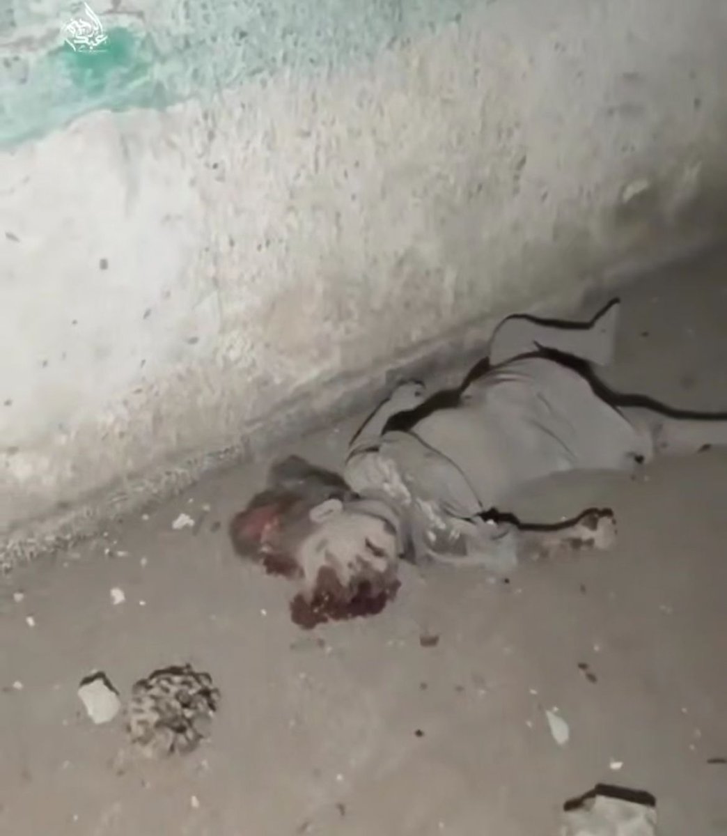 "أطفال تطايروا".. 

مشاهد قاسية من مجزرة الاحتلال في مدرسة الفرابي التي تؤوي نازحين مقابل ملعب اليرموك بمدينة غزة