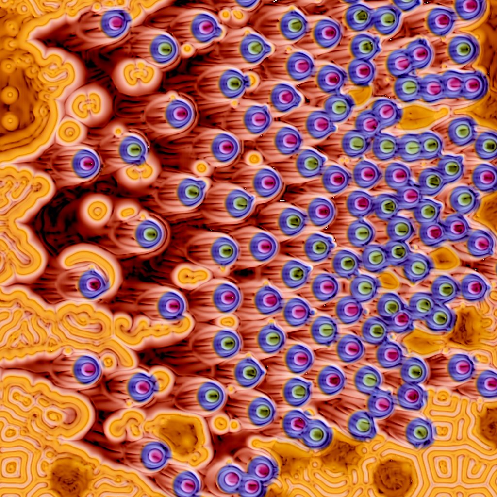 Purein10th tweet media