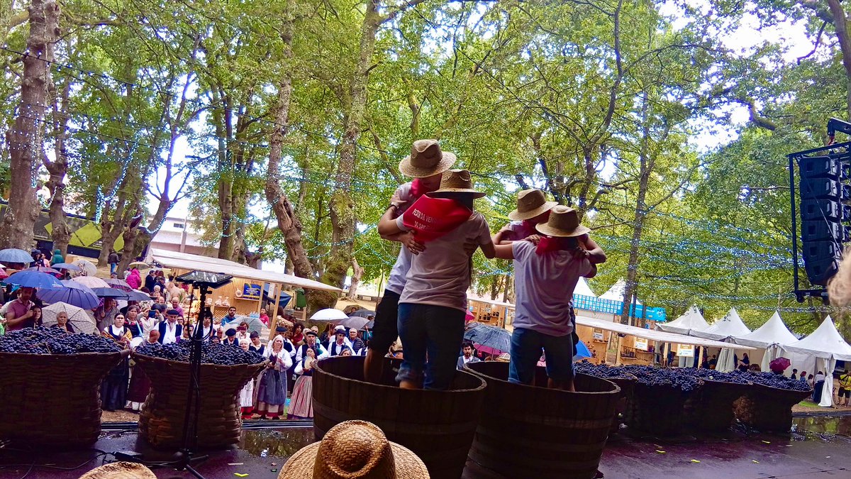BalseiroLugo's tweet image. 🍇 A vendima é unha festa no Saviñao!!

#Escairon #viño #tradición #gastronomía #Galicia