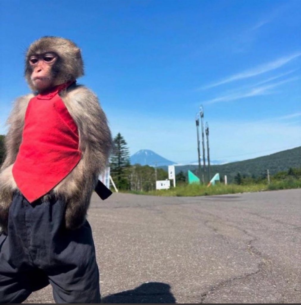 Jupinapapi3's tweet image. Done arguing with bums #2nO