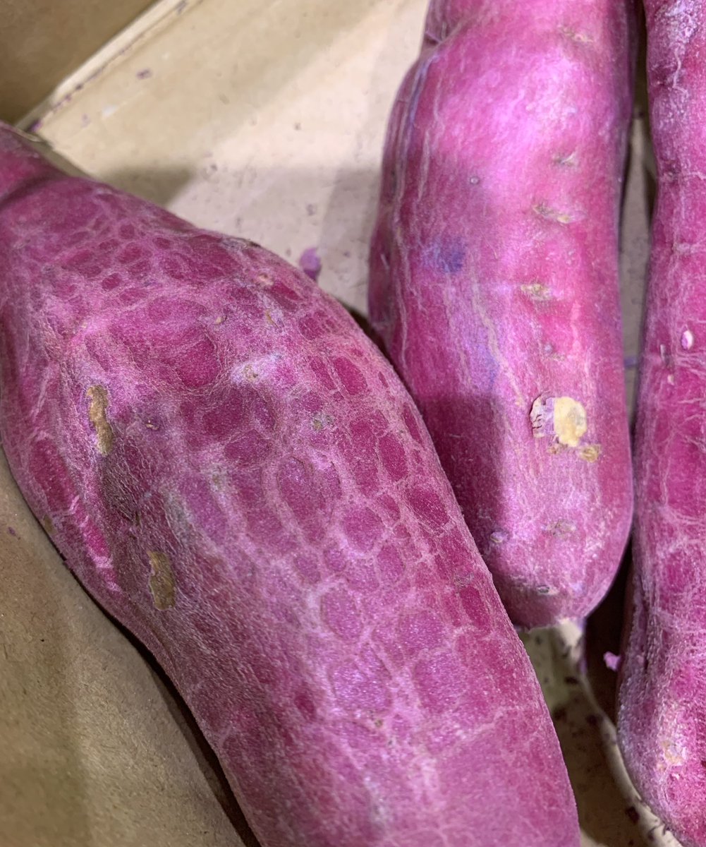 さつまいもの季節がやってきた🍠✨
秋冬になると芋を焼き続けている気がする、、笑

お気に入りは甘太くん🍠🍠🍠