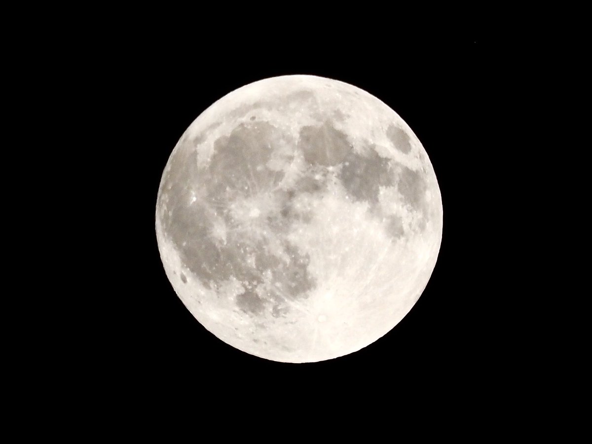 miki_mfb's tweet image. 満月は明日の未明午前3時頃、皆既月食なんですね🌕