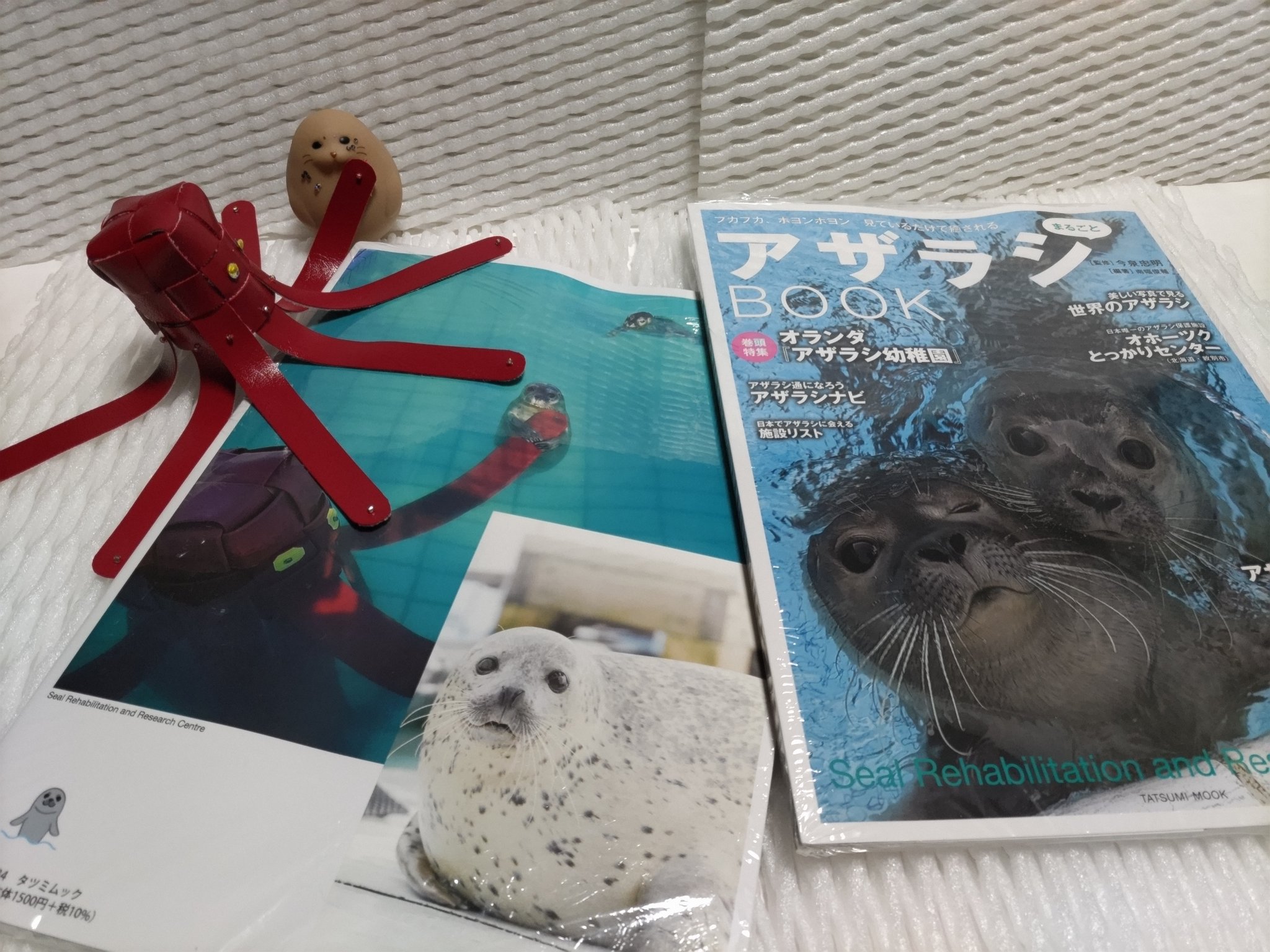 みどちゃん様確認専用ページ ☆トコちゃんベルトの偽造品にご注意☆ ・ ・ Amazonサイト