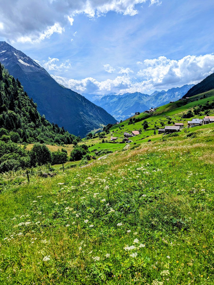 HikingSwitzerland tweet media