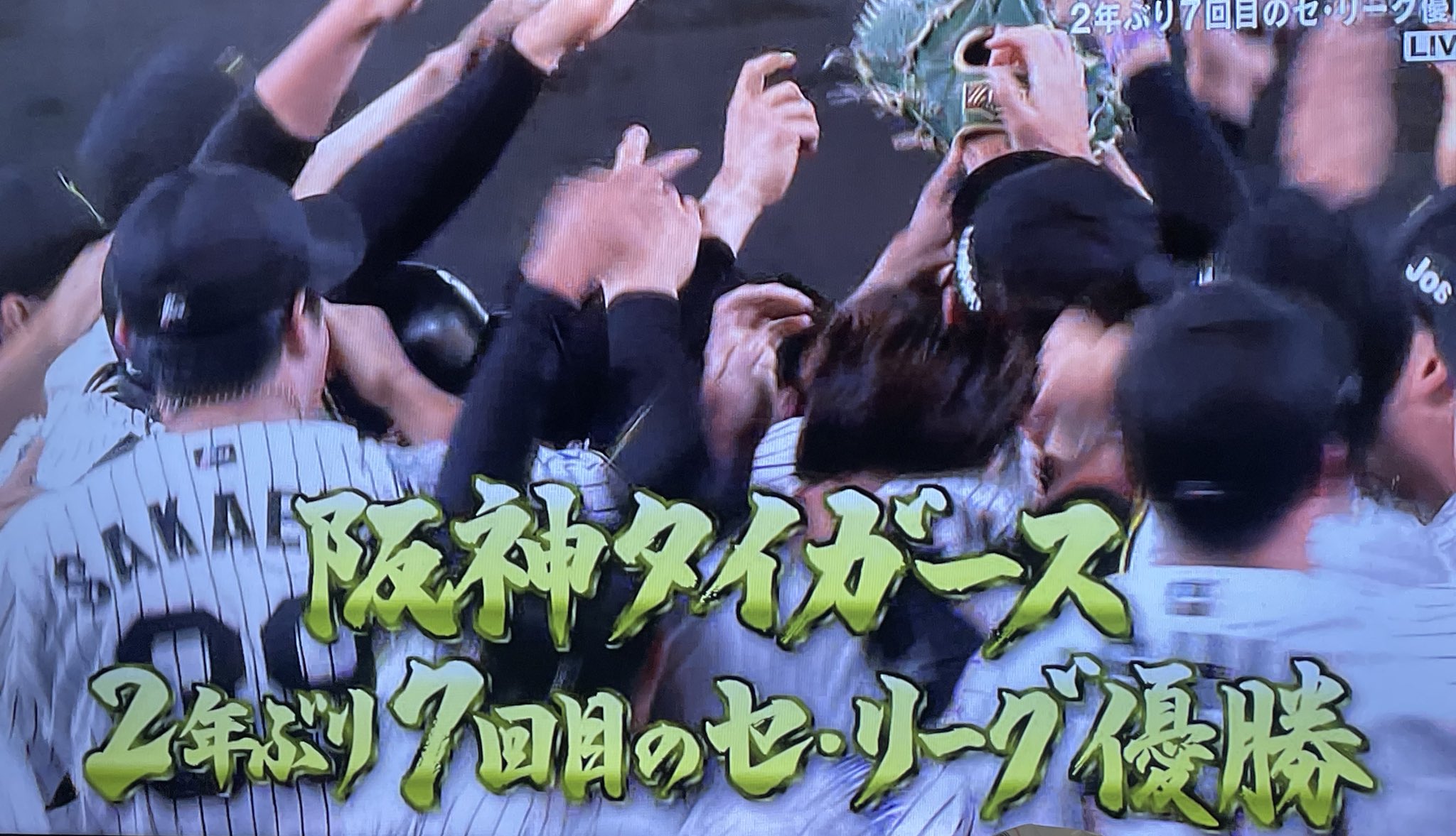 大阪の人でお願いします 81mSLSJv-HL._SY200_QL15_.jpg