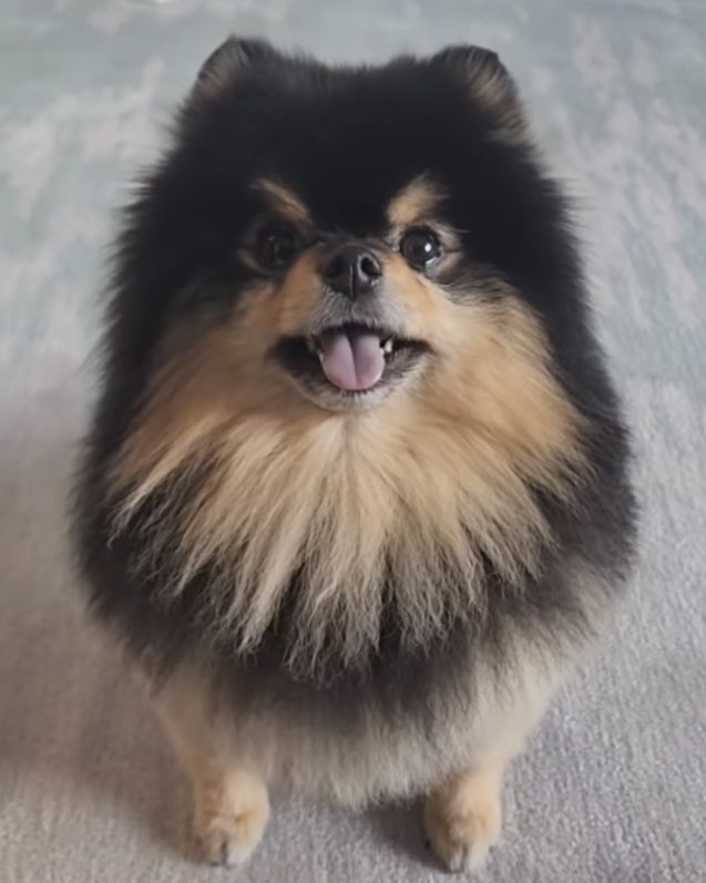 ヨンタンへ

お誕生日おめでとう。
ずっと大好きだよ。
いつまでも、心は一緒だよ。
#ForeverWithYeontan
#YeontanDay
#BTSV #キムテヒョン