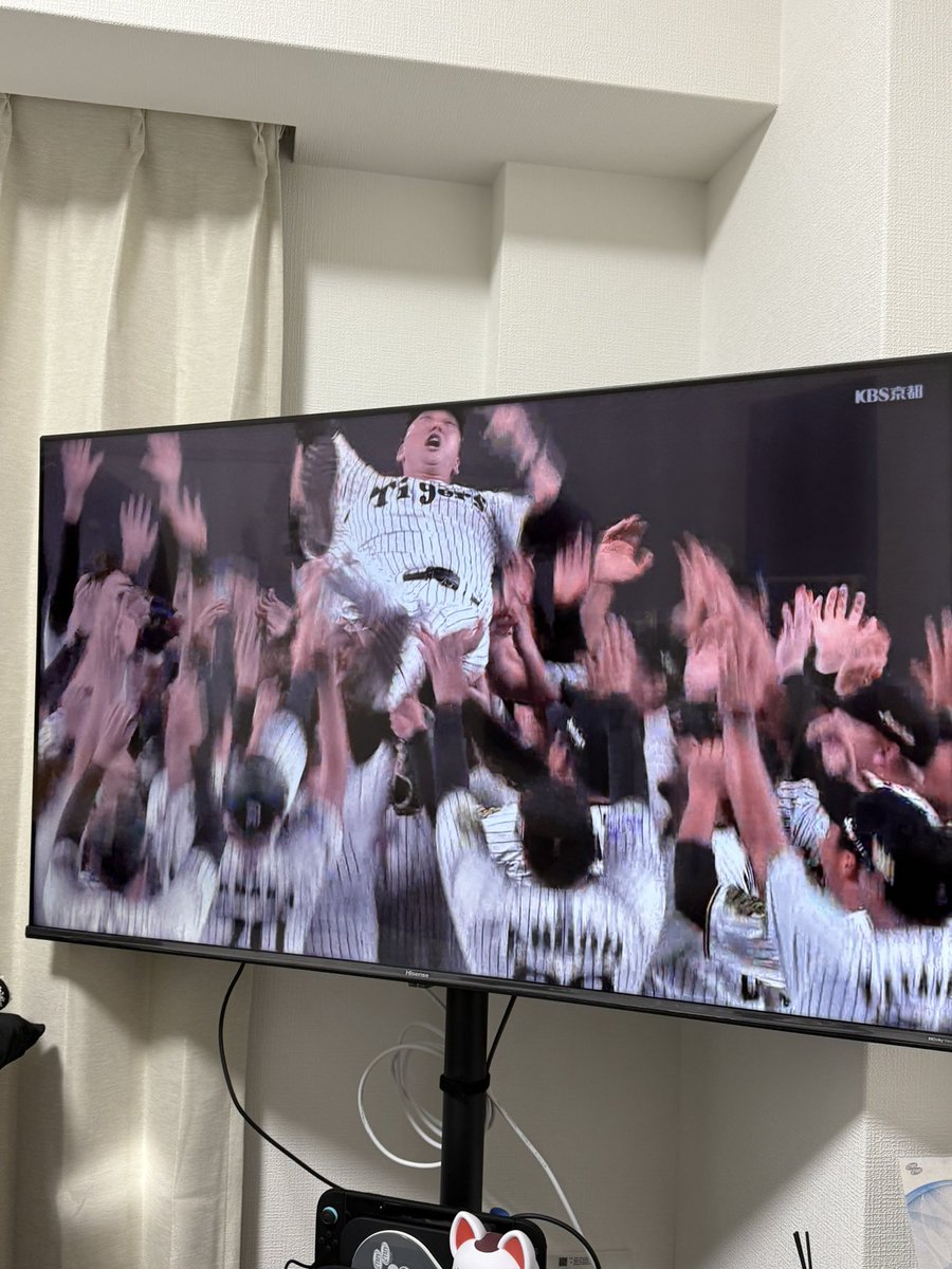 強いね阪神