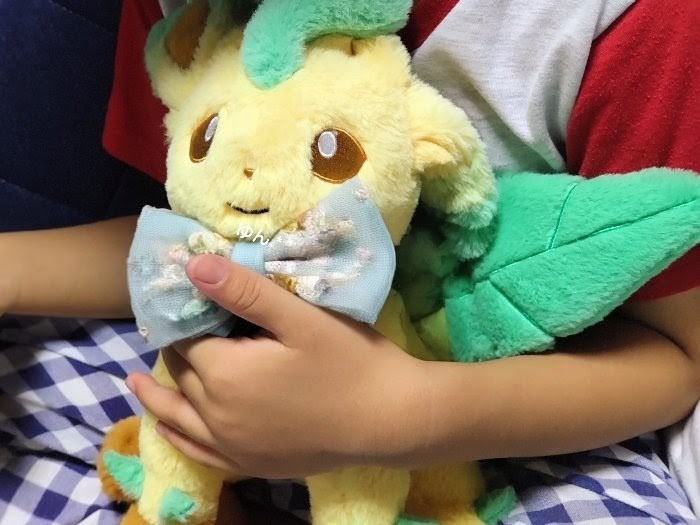 ちびとリーフィアは寝る前いつもこの体勢で仲良しっ🤭
おやすみっ🌙*
#くたくたたった