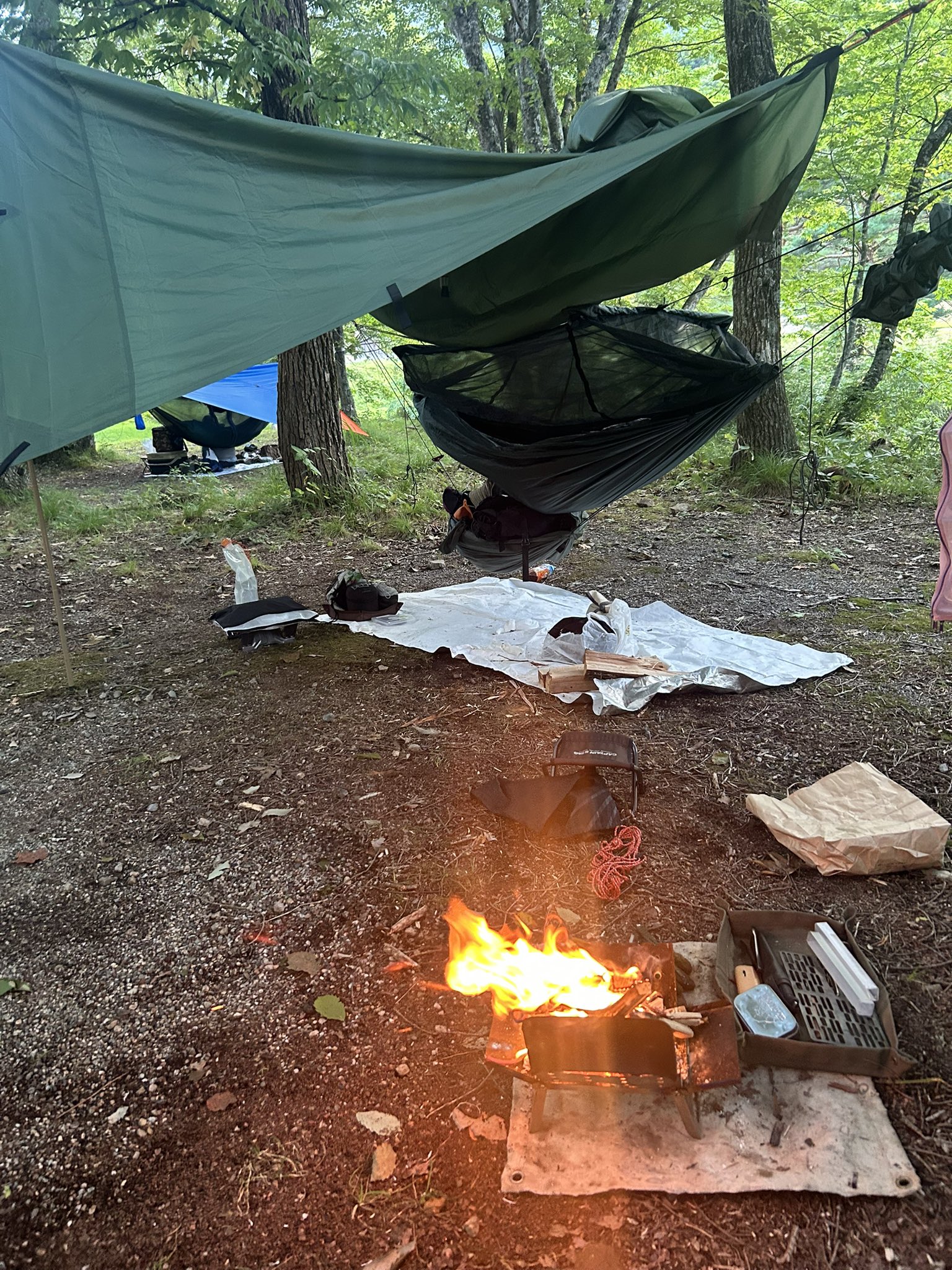 Tachigoke Lab レイピア ロングモデル ブラック スプリングユニット Tachigoke Lab