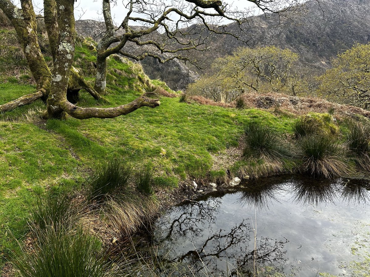 𝚁𝚎𝚊𝚌𝚝𝚒𝚘𝚗𝚜 𝚃𝚘 𝟸𝟶𝟸𝟹 tweet media