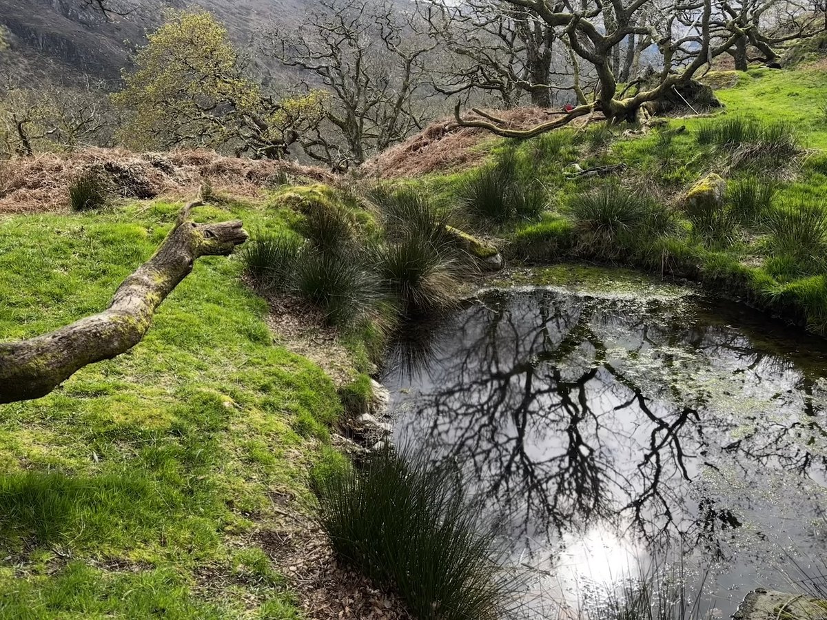 The last time they sounded the alarm.