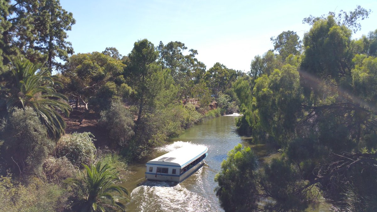 adelparklands's tweet photo. Restoring lost native vegetation in your Adelaide Park Lands is an ongoing task for the City of Adelaide.   During our Guided Walk this Sunday in Park 11 we'll show you a success story:Mistletoe Park / Tainmuntilla (Park 11). Book here: https://t.co/SCI4zpWs78 https://t.co/p6kSlvD3wm