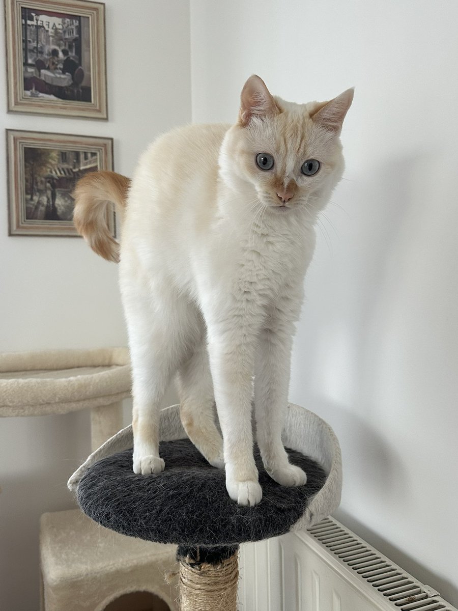 tu t’étires mais tu es long loulou