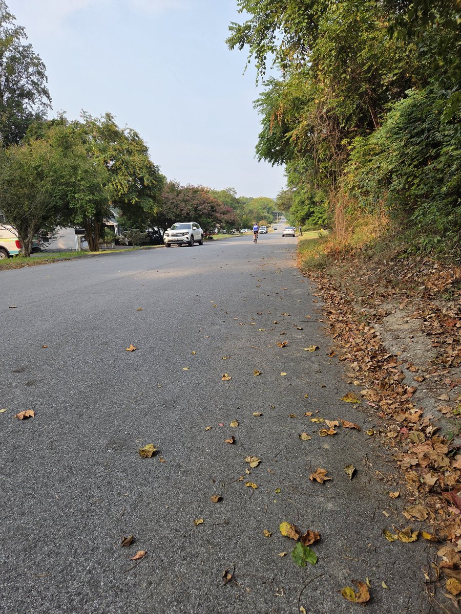 Morning walk, to nice to waste it