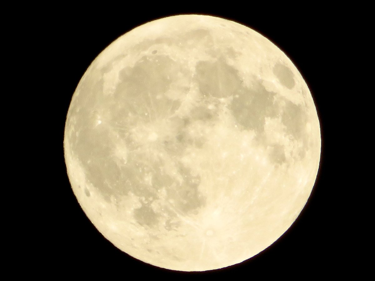 「今宵の月🌕」(ころころ🐼継承)

秋の夜空に浮かぶほぼ満月に六甲おろしが
響き渡っている様です👏
(全国の阪神ファンの皆様おめでとうございます🎉)
月には🐅ではなく🐇(ジャビット・巨人なんですけど😅)
プレ満月の日に甲子園の盛り上がりは最高潮に達しました

2025.09.08PM9:00埼玉県某所にて撮影