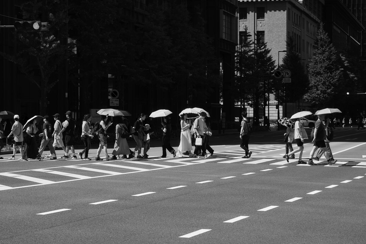 zauber2011's tweet photo. Parade of Shadows
#StreetPhotography #Monochrome #UrbanRhythm #Crosswalk #CityLife #SummerShadows #EverydayScenes #毎スナ #モノクローム散歩 https://t.co/oTRegE9xqJ