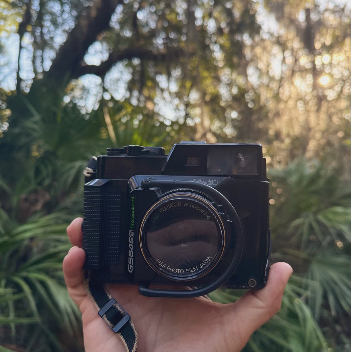 PHOTOVARMINT tweet media