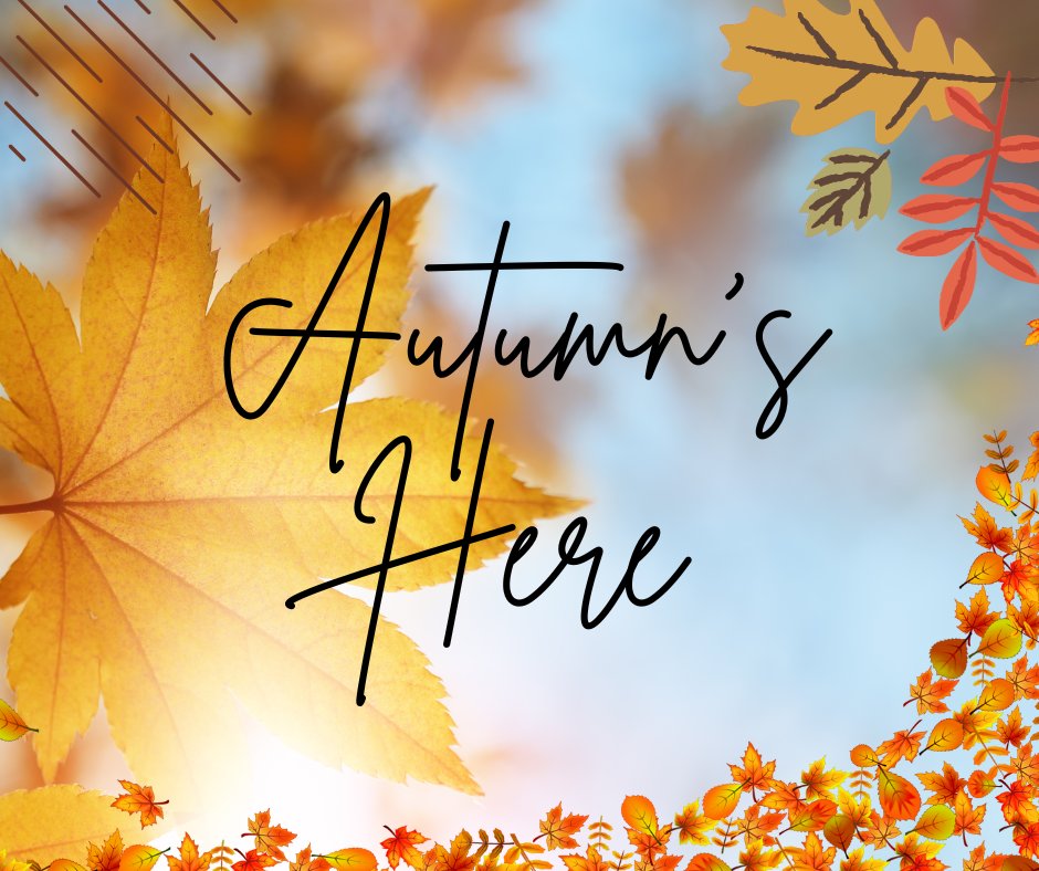 CT_Tutoring's tweet image. #Autumn has officially begun 🍂
With nights beginning to draw in, why not make the most of it and snuggle up on your sofa under your blanket and watch our #onlinetutorials. Find them on our website computertutoring.co.uk>Resources>Training Videos.