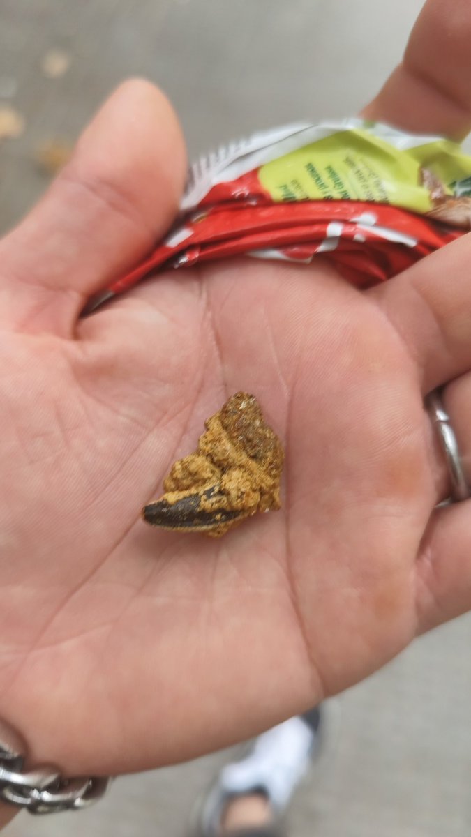 ottuelo's tweet photo. @grefusa  por que me acaba de salir un embrion de groot de las pipas tijuana? https://t.co/Y3vYaBt5MJ