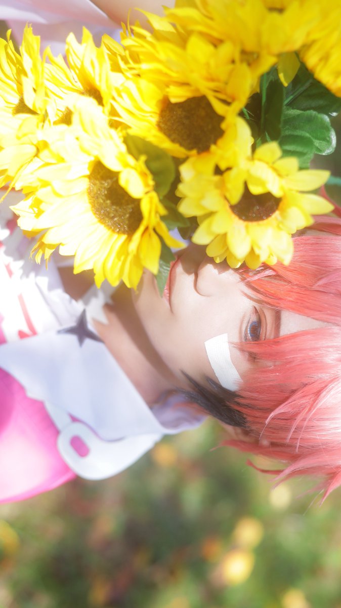 ⚠︎cos🌈🕒.🦖🍱

🌻

photo📷:海人さん<a href="/kaitopppph/">海人🥛🌊</a> 
#牛乳とカメラの海人