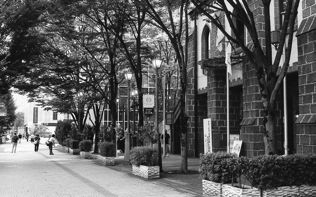 ChaprinYY's tweet photo. 本日の試写。。
写真の上手下手はご勘弁を…(^^; この個体、露出は-1.5段程ズレているようでが安定はしていますね、でもこのカメラとレンズ…かなり好きになりました。コントラストが強く、いい味があります。さすがCL流れのレンズと言われるだけのことはありそうですね。。
#MARIX100 / SPD1:1 6分 https://t.co/7KX3yi5UfZ