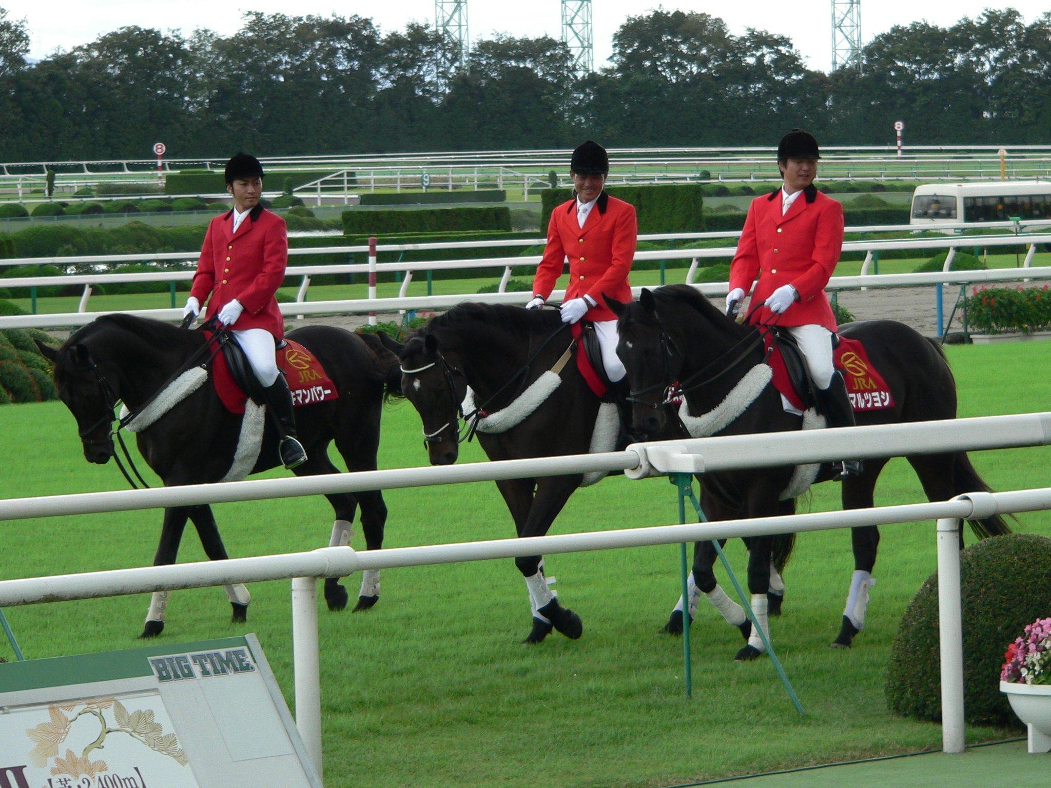 競馬のゼッケン　ツルマルツヨシ show_photo.php?horse_id=