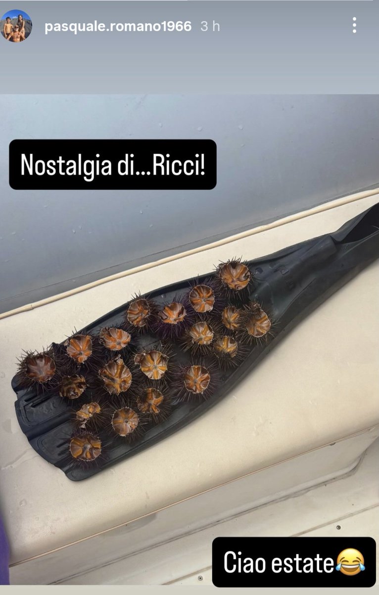 Fabrizio tweet media