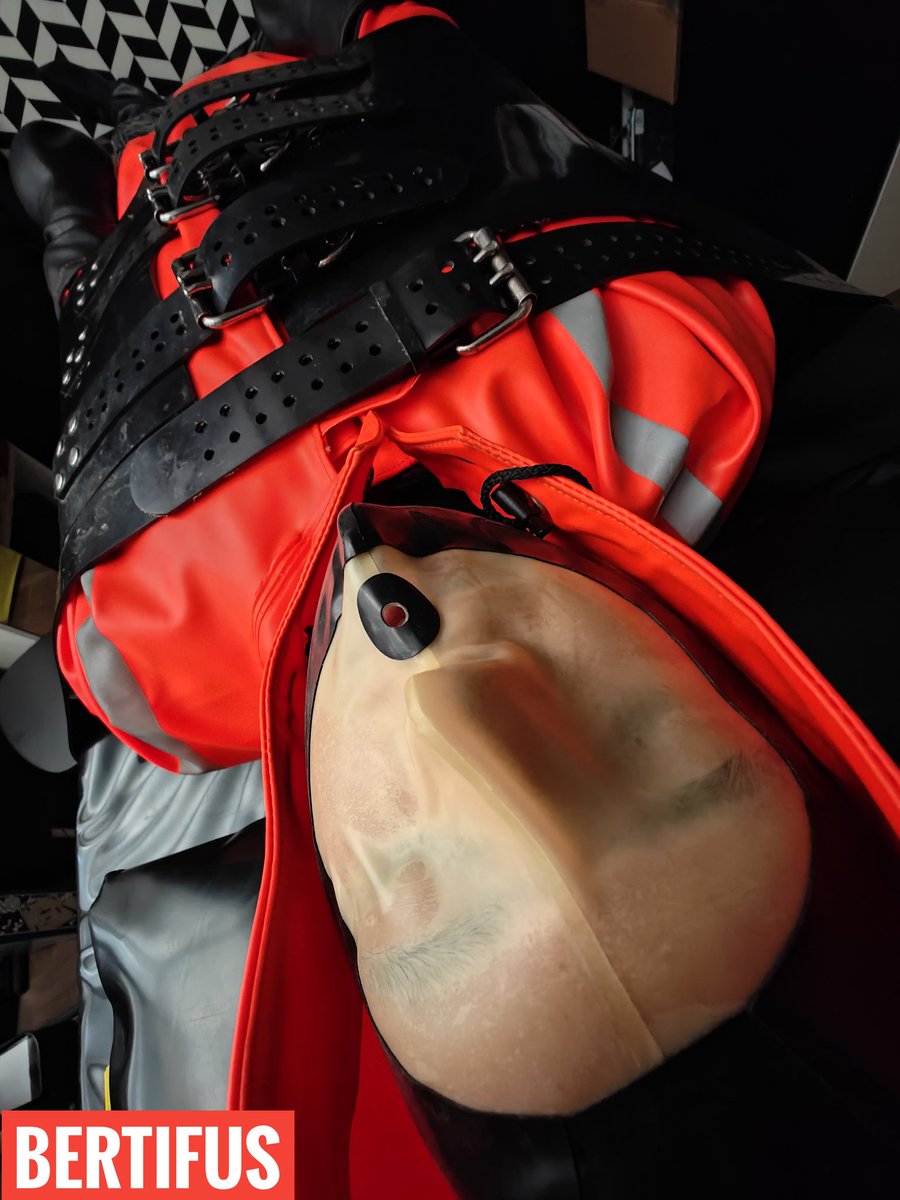 bertifus🔜 04Korea, 05Berlin,06Paris tweet media