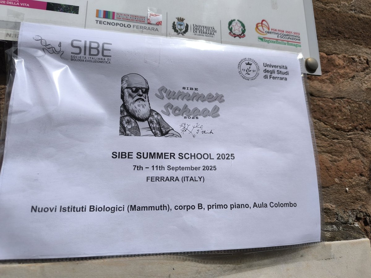 Francesca Raffini Lab tweet media