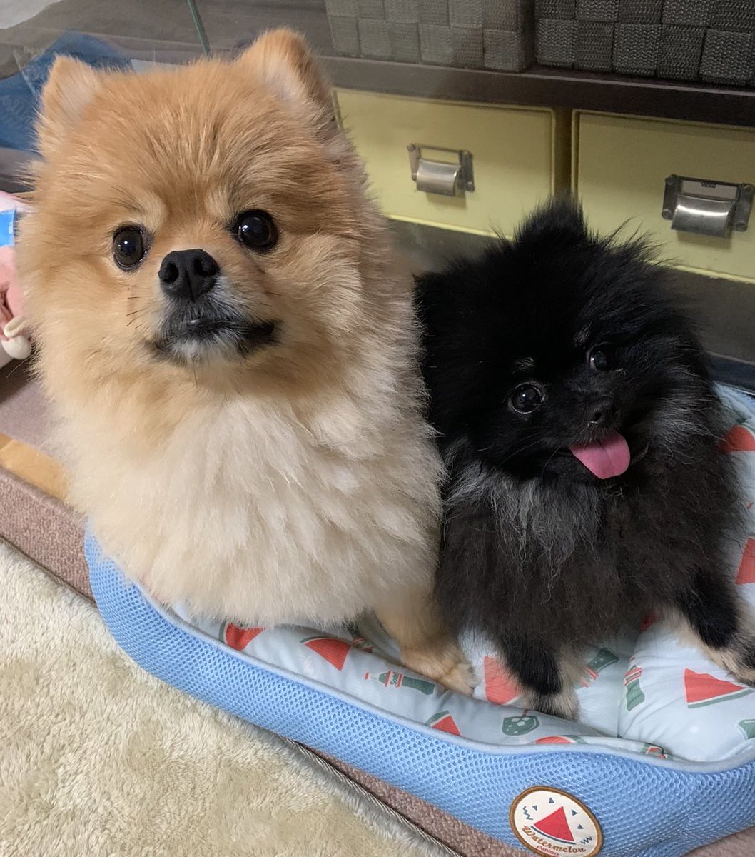 美男美女だね〜〜〜っていつも言ってる