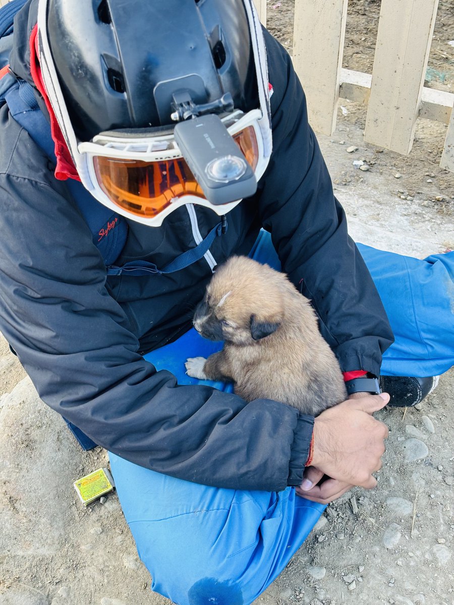 SamratSauravJai's tweet image. As a javascript developer, we know that the only question more difficult than &quot;what is the meaning of life?&quot; is &quot;what is the value of this?&quot;.

source: boot.dev/lessons/4ba33d…

#javascript #typescript #bootdev