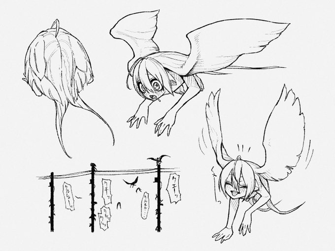 ハネコウベ。
ハネコウベだよ🪶💀 