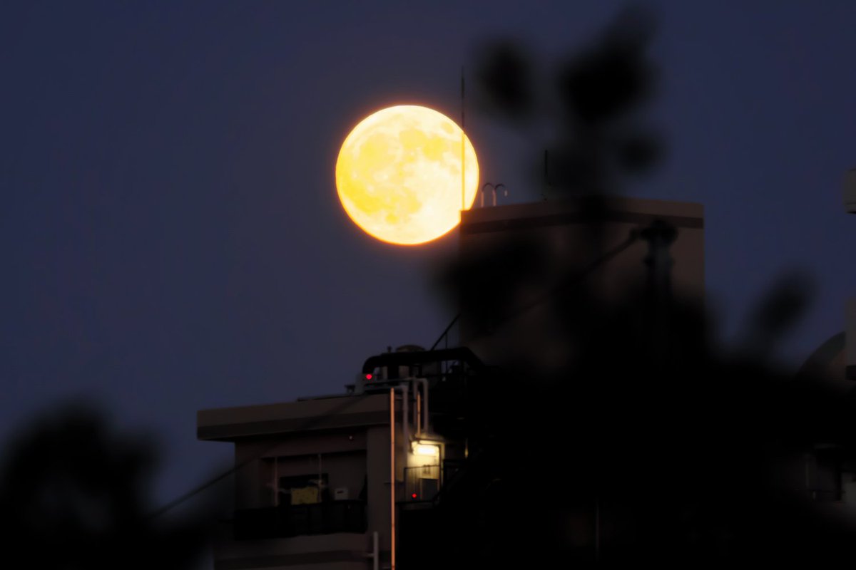 6時過ぎにベランダから満月を撮ってみた。今夜は皆既月食見れるかな。