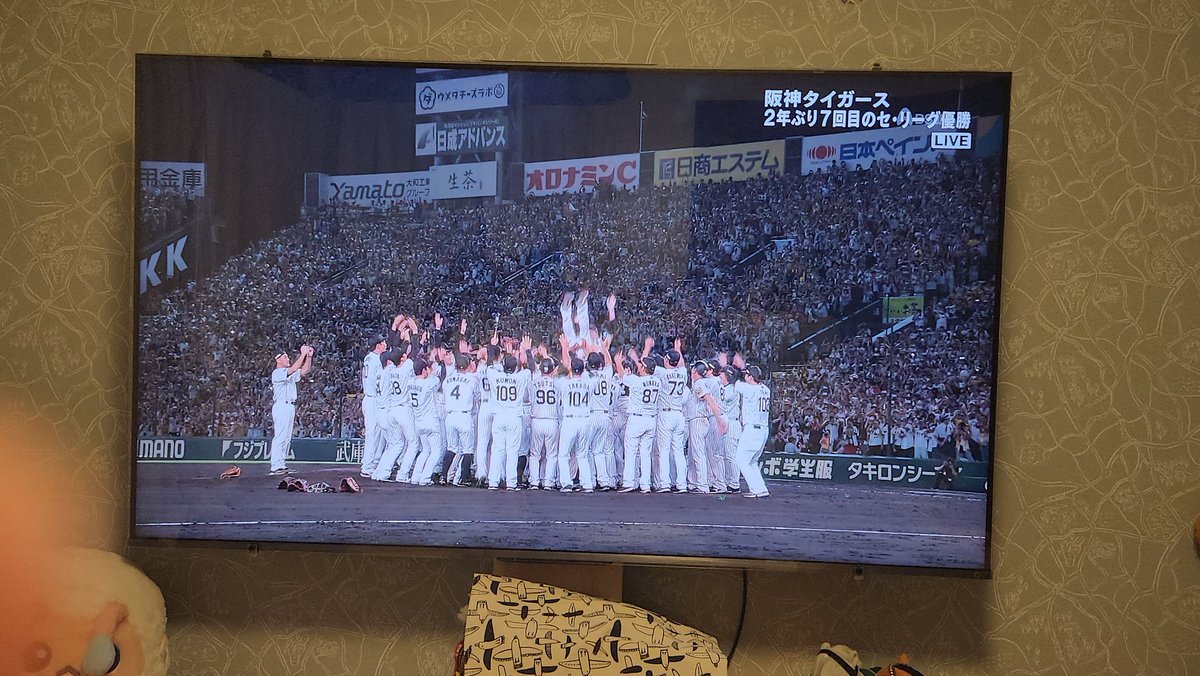 39kai39's tweet photo. ＼(^o^)／ https://t.co/nESEN6RKdq