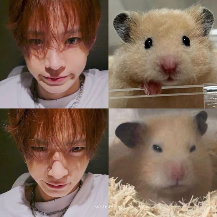 아 개졸귀ㅋㅋㅋㅋㅋㅋㅋ 너 진짜 햄스터야