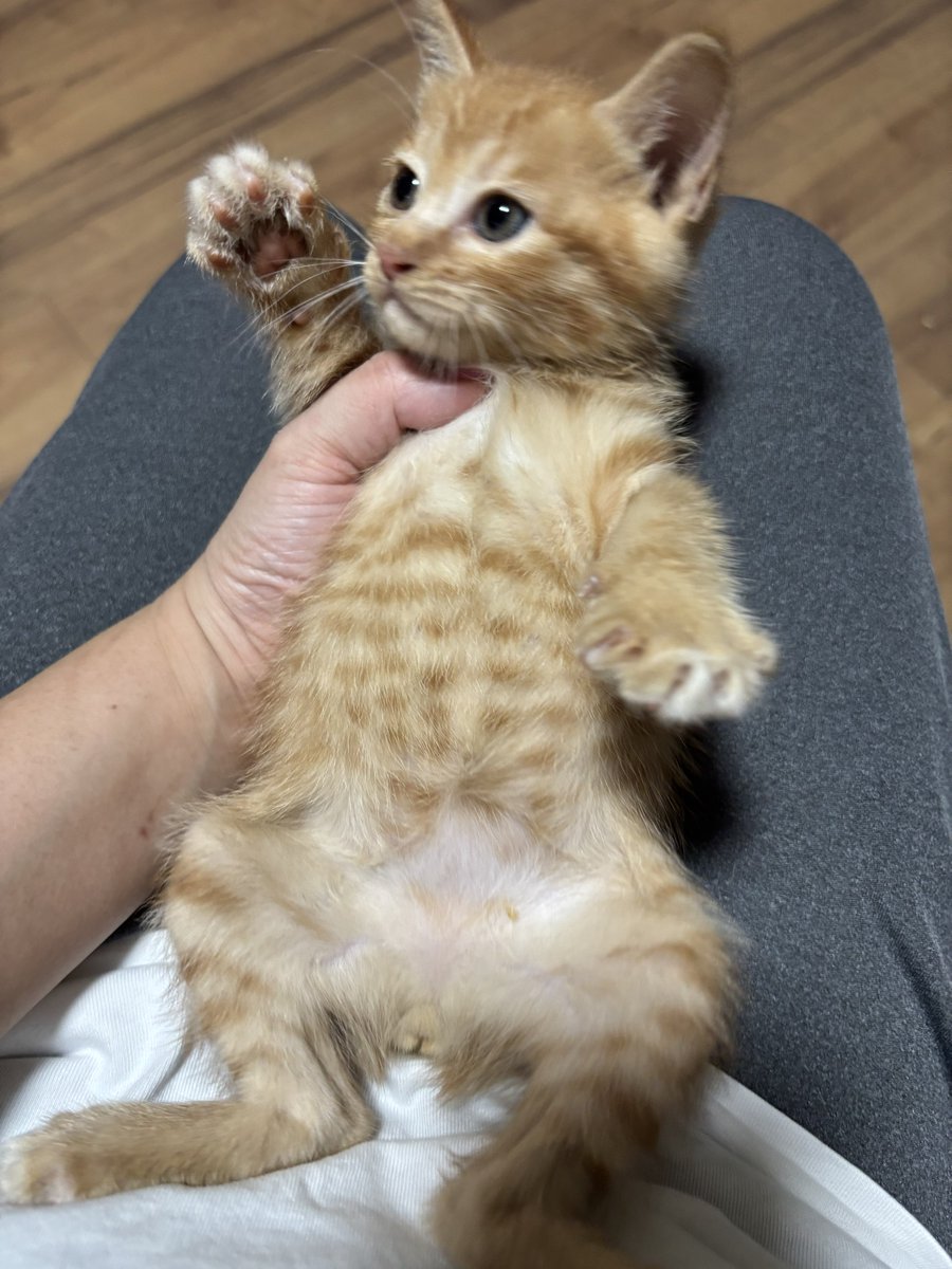 aims2koz's tweet photo. ふぅー今日も飲んだ飲んだ🍼ヨッ https://t.co/60WGW80Vqz