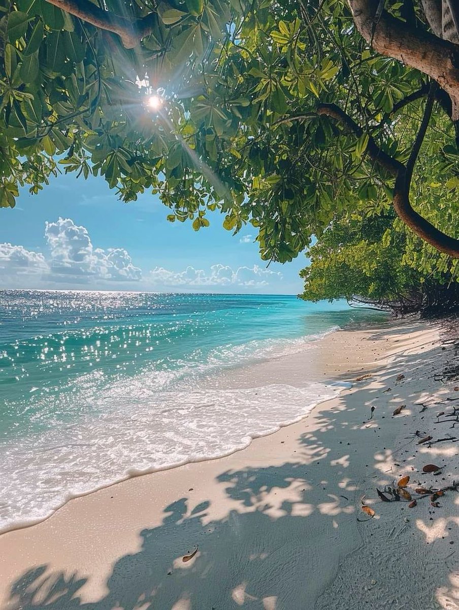 Next stop, Maldives
