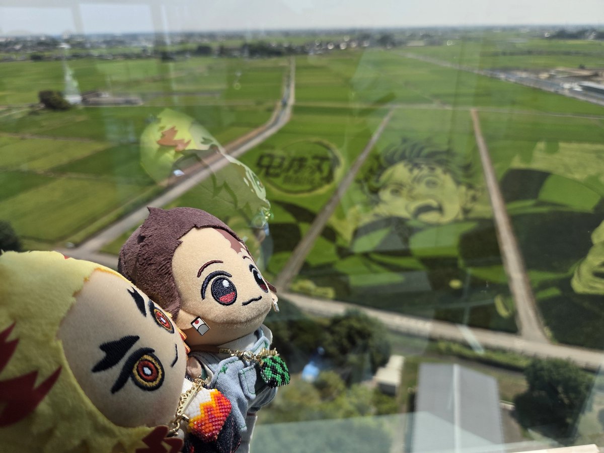 (っ˶´◜ᴗ◝`˶c)おれです！✨
(っ •̀ ᴗ •́ c)見事なものだな！！✨
ｴﾑ(っ˶´◜ᴗ◝`˶c)これ、ぜんぶおこめ？
ﾃﾞｶ(っ˶´◜ᴗ◝`˶c)これが…ぎねす…！！✨

ちびちゃん達はあまりのスケールにめちゃくちゃ驚いたようです😊