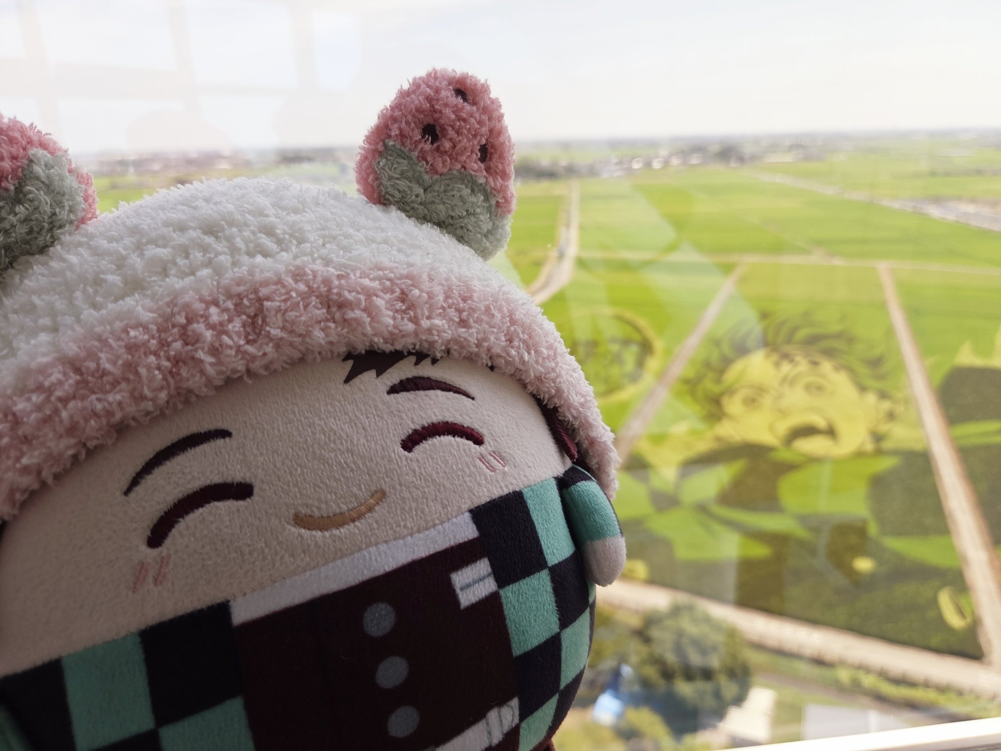 ち*ぃ様 のびねこ⭐︎【おひなさま】⭐︎ おいぬさま⚜🍭⚡️💚 on X: 