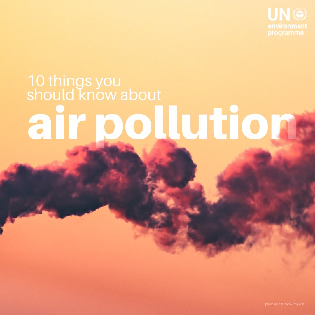 UN Environment Programme tweet media